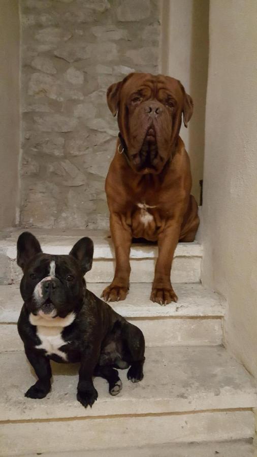 Pougnadoresse Bastide De La Madeleine Bed & Breakfast エクステリア 写真