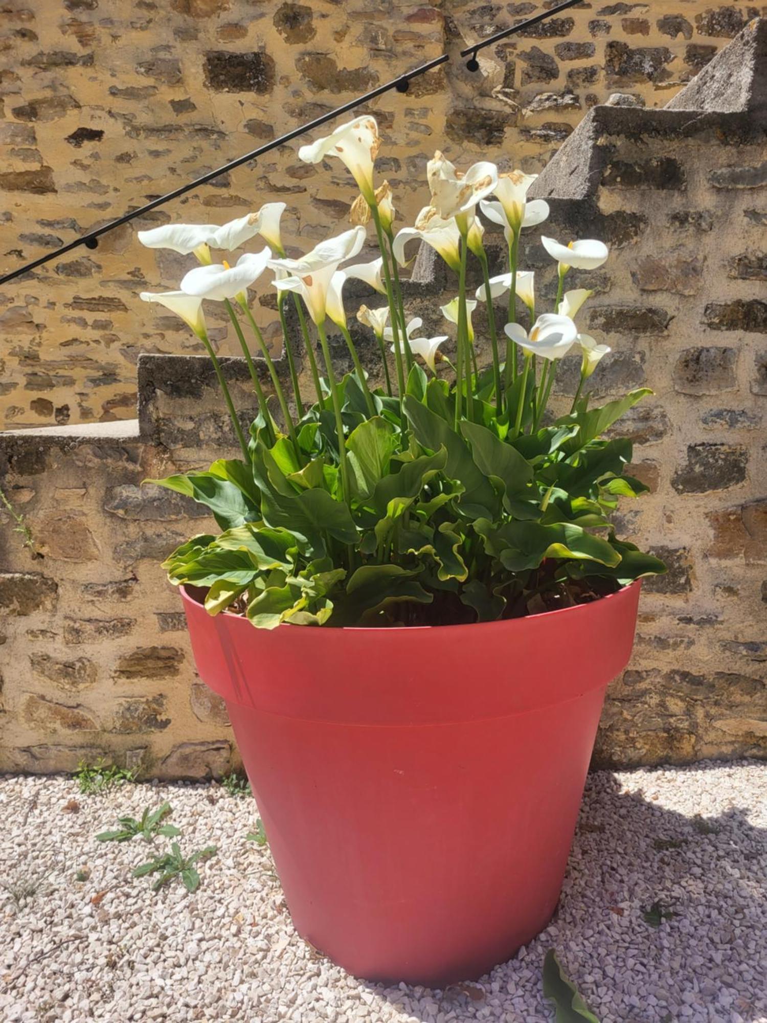 Pougnadoresse Bastide De La Madeleine Bed & Breakfast エクステリア 写真